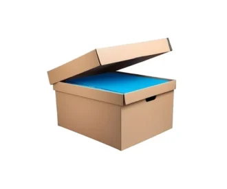 Image here