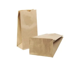 Kraft Bags Bulk