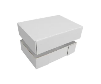 Image here