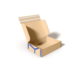 Image here